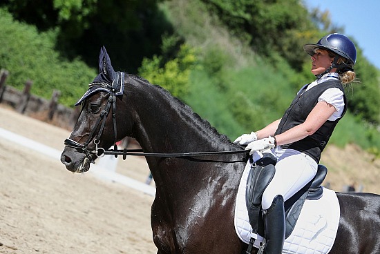 16-17-18 Mai 2025 : Domaine de Lorleau - Dressage