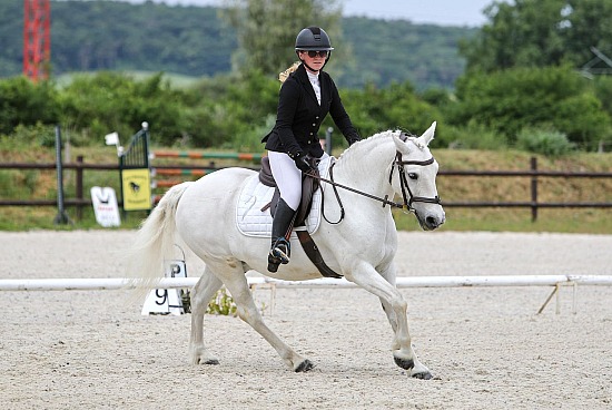 25 Mai 2025 : Parc équestre des Sablons, Val de Reuil - Dressage
