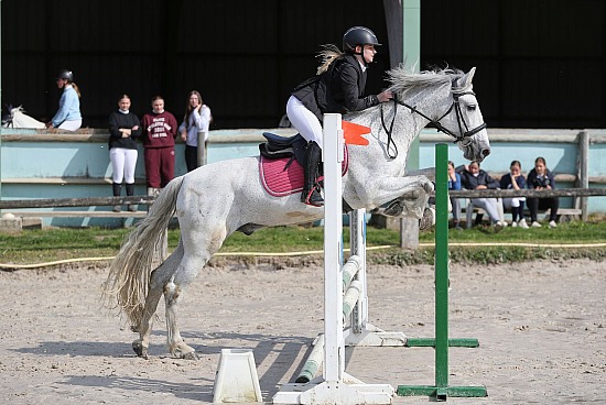 8 Juin 2025 : Centre équestre de Rocquefort - CSO Club, Poney & Préparatoire