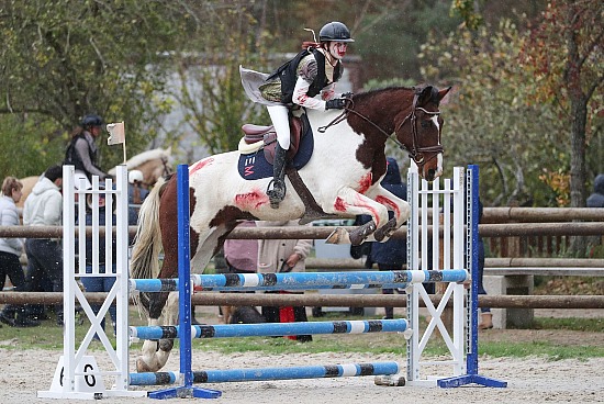 26 Octobre 2025 : Parc équestre des Sablons, Val de Reuil - CSO Club, Poney & Préparatoire