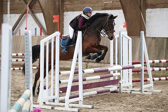 23 Novembre 2025 : Chevalerie de la Bretèque - CSO Club, Poney & Préparatoire
