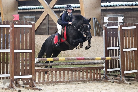 21 Décembre 2025 : Ecuries Lefebvre - CSO Club, Poney & Préparatoire