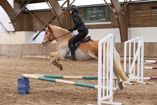 11 Janvier 2026 : Chevalerie de la Bretèque - Hunter et Challenge