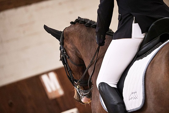 25 Janvier 2026 : Chevalerie de la Bretèque - Dressage