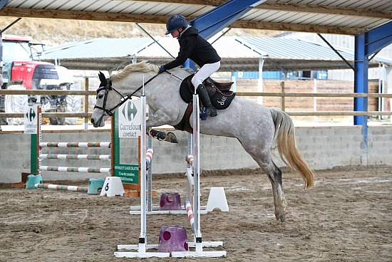 15 Février 2026 : Centre équestre le cheval bleu - CSO Club, Poney & Préparatoire
