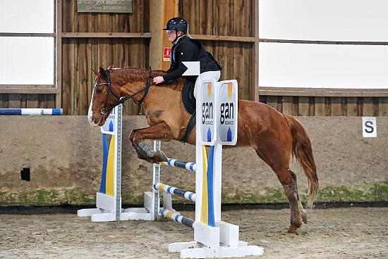 22 Février 2026 : Ecuries Lefebvre - CSO Club, Poney & Préparatoire