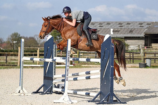 6 Mars 2026 : Ecuries Lefebvre - CSO Préparatoire