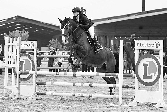 8 Mars 2026 : Centre équestre le cheval bleu - CSO Club, Poney & Préparatoire