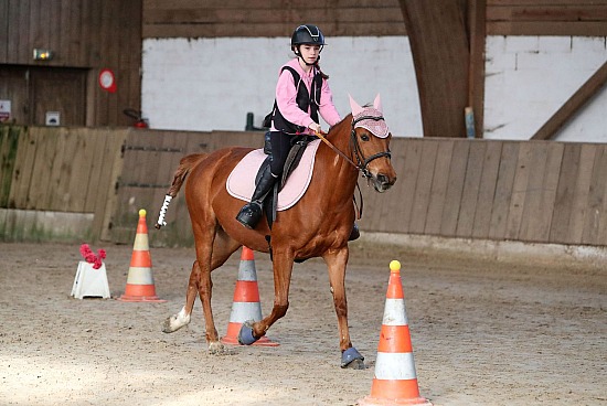 8 Mars 2026 : Chevalerie de la Bretèque - Equifun