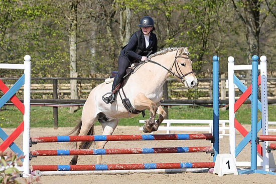 15 Mars 2026 : Centre équestre de la Scie - Hunter