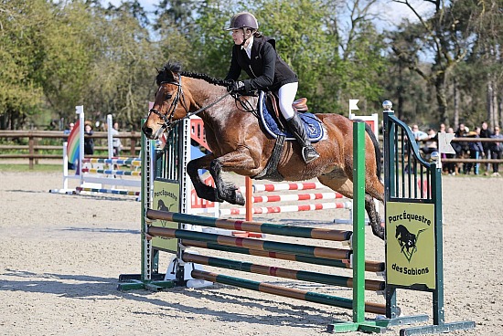 15 Mars 2026 : Parc équestre des Sablons, Val de Reuil - CSO Club, Poney & Préparatoire