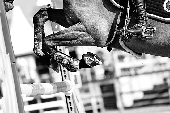 20-21-22 Mars 2026 : Ecuries Lefebvre - CSO Amateur, Pro & Préparatoire