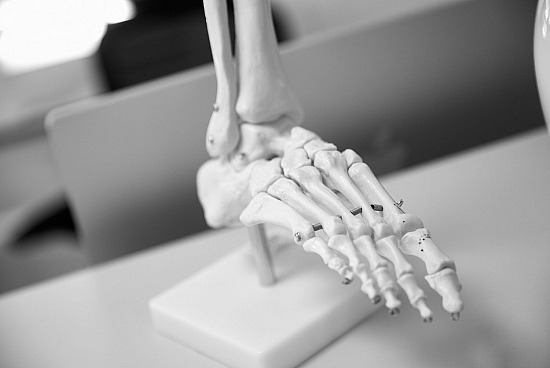 17 mars 2026 : Reportage d'entreprise médicale