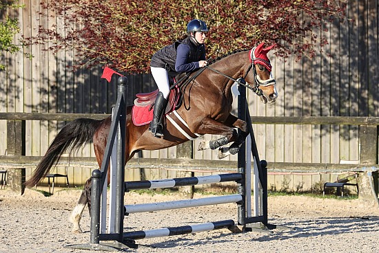 29 Mars 2026 : Centre équestre de la Scie - CSO Club, Poney & Préparatoire