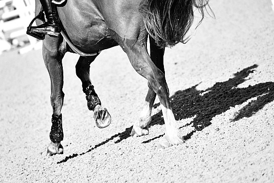 27-28-29 Mars 2026 : Parc équestre des Sablons, Val de Reuil - CSO Amateur, Pro & Préparatoire