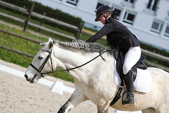 29 Mars 2026 : CFA d'Yvetot - Dressage