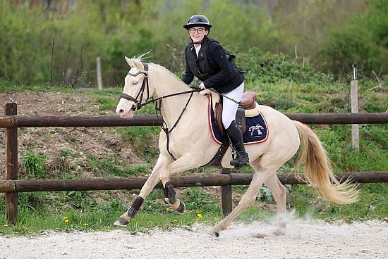 5 Avril 2026 : Parc équestre des Sablons, Val de Reuil - CSO Club, Poney & Préparatoire