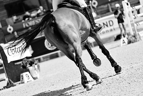 30 Avril et 1-2-3 Mai 2026 : Equi-Normandie, Haras du Loup, Canteleu - CSO Amateur, Pro & Préparatoire - Grand National