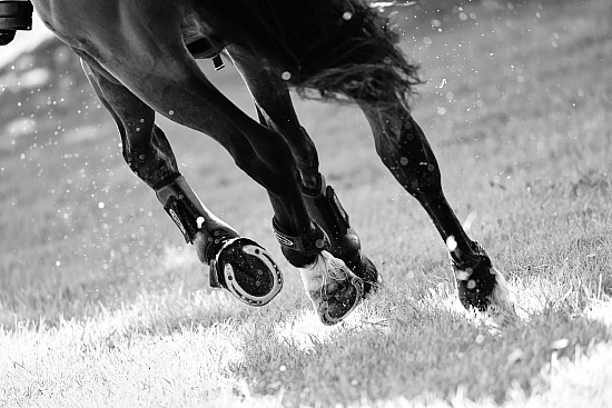 8-9-10 Mai 2026 : Ferme de la Motte, Val de Reuil - Hunter & CSO Préparatoire