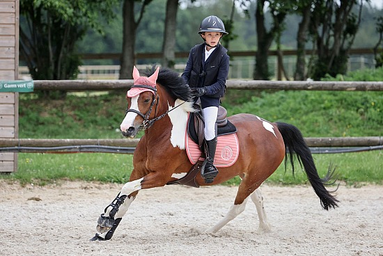 31 Mai 2026 : Centre équestre de la Scie - CSO Club, Poney & Préparatoire