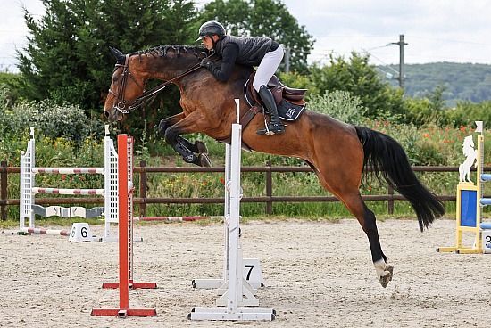 5-6-7 Juin 2026 : Parc équestre des Sablons, Val de Reuil - CSO Amateur, Pro & Préparatoire