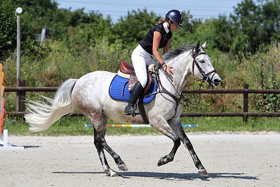 21 Juin 2026 : Parc équestre des Sablons, Val de Reuil - CSO Club, Poney & Préparatoire