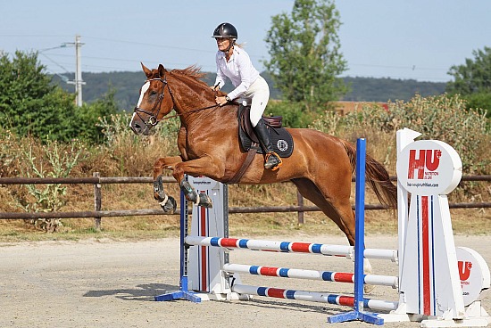 3-4-5 Juillet 2026 : Parc équestre des Sablons, Val de Reuil - CSO Club, Poney & Préparatoire