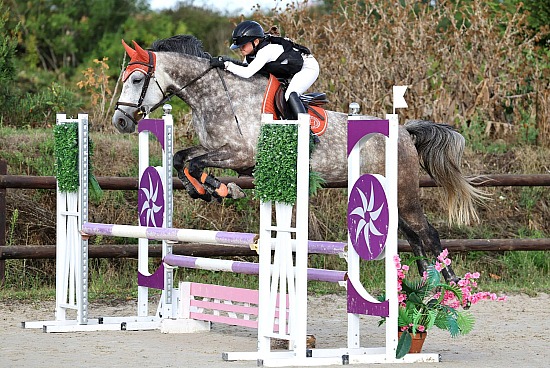 28-29-30 Aout 2026 : Parc équestre des Sablons, Val de Reuil - CSO Amateur, Pro & Préparatoire