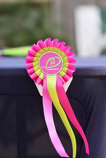 13 Septembre 2026 : Ecuries de Saint Paër - CSO Club, Poney