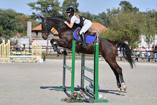 27 Septembre 2026 : Parc équestre des Sablons, Val de Reuil - CSO Club, Poney & Préparatoire