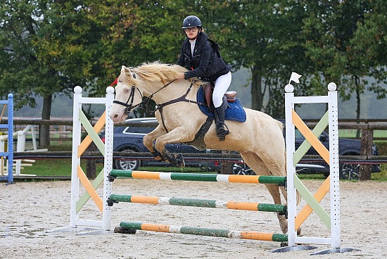 11 Octobre 2026 : Centre équestre de la Scie - CSO Club, Poney & Préparatoire