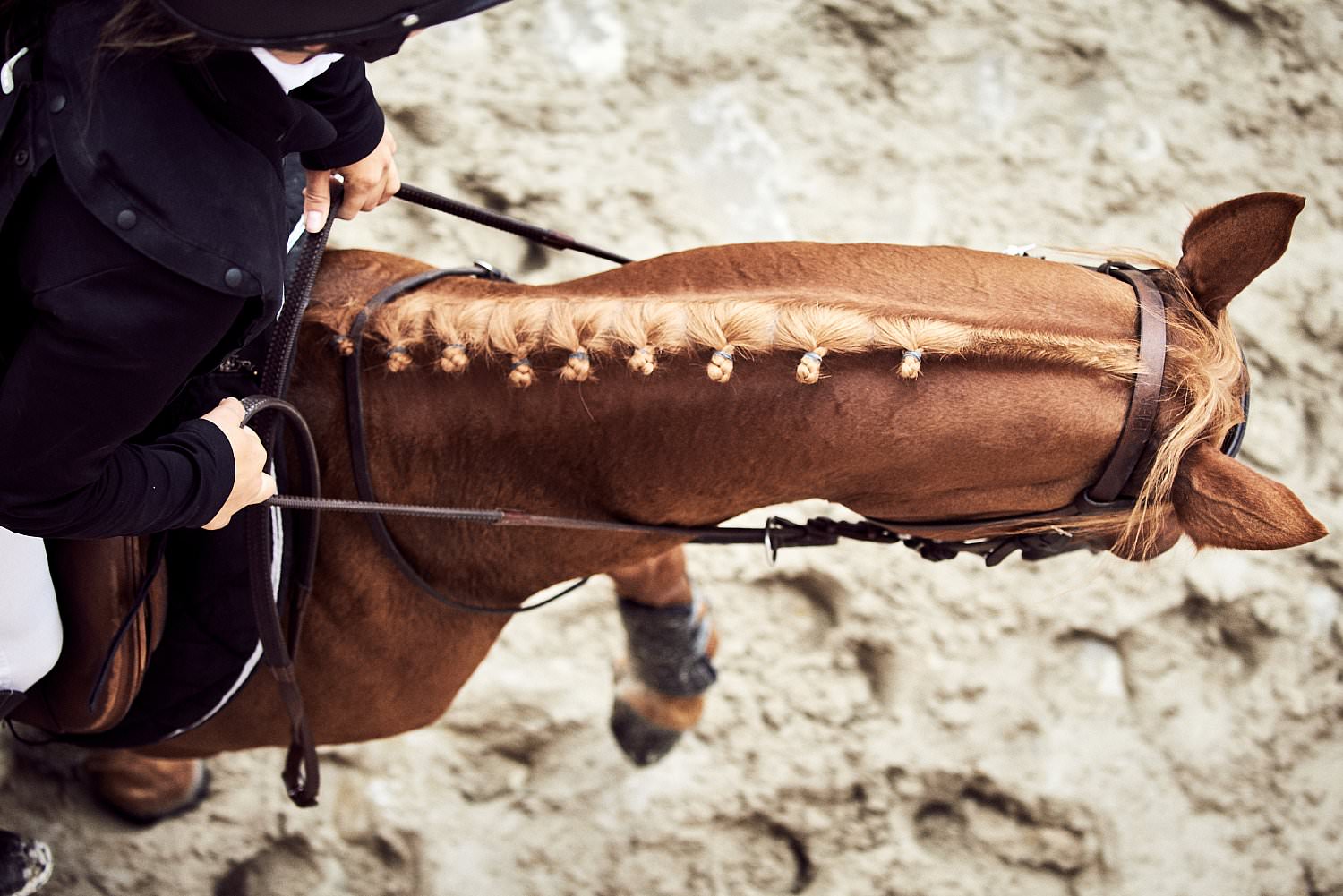 photo equestre concours